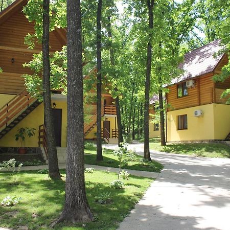 Вілія Hotel Lomacineţi Buitenkant foto
