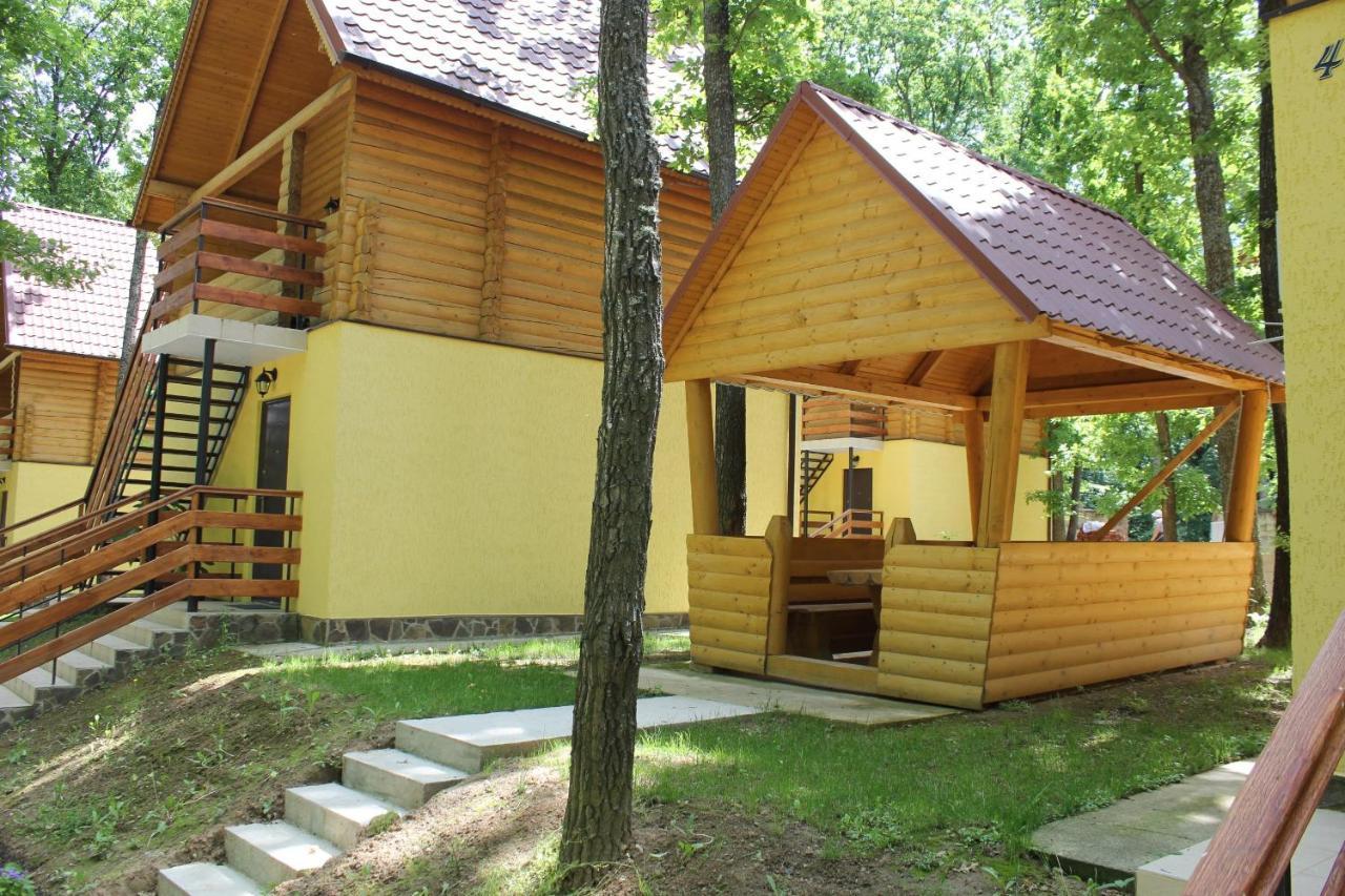 Вілія Hotel Lomacineţi Buitenkant foto