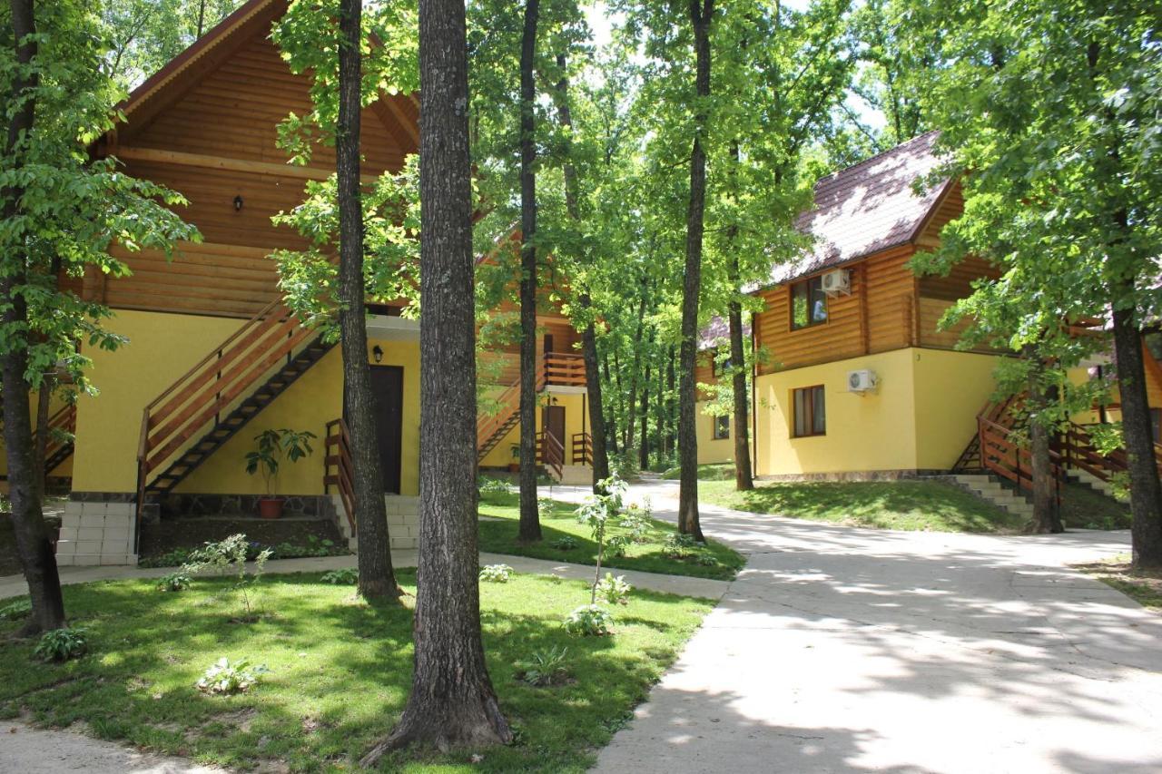 Вілія Hotel Lomacineţi Buitenkant foto